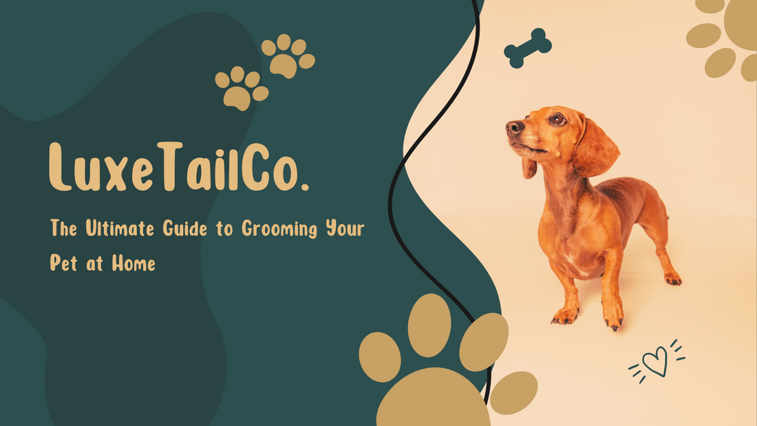 The Ultimate Guide to Grooming Your Pet at Home