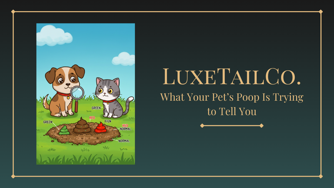 What Your Pet’s Poop Is Trying to Tell You