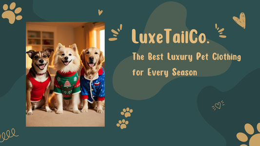 The Best Luxury Pet Clothing for Every Season