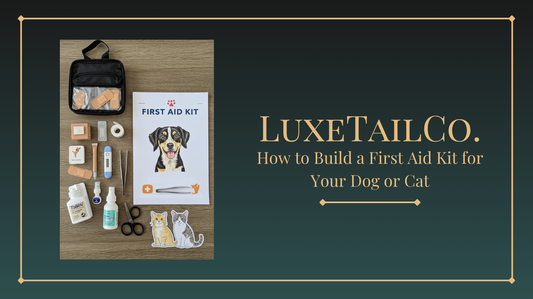 How to Build a First Aid Kit for Your Dog or Cat