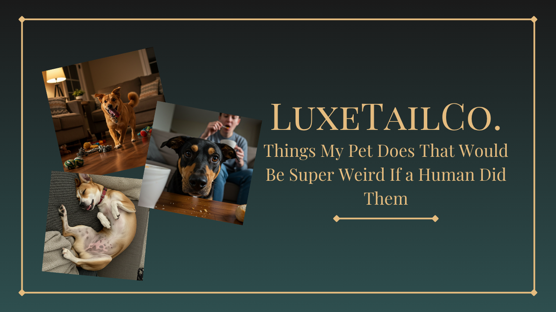 Things My Pet Does That Would Be Super Weird If a Human Did Them