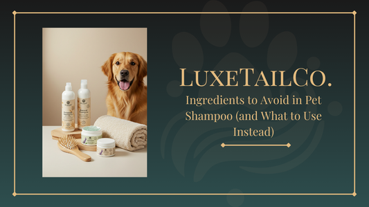 Ingredients to Avoid in Pet Shampoo (and What to Use Instead)