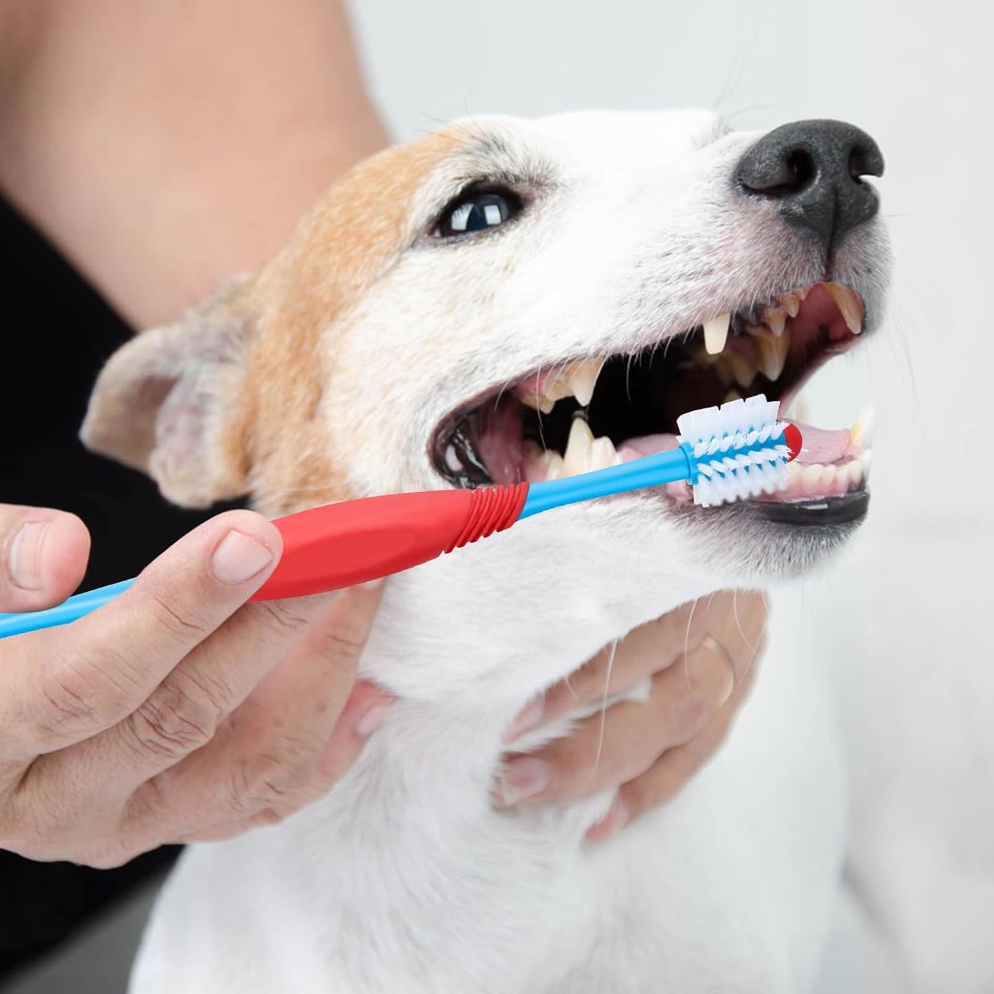360° Dual-Head Dog Toothbrush – Gentle, Effective Dental Care for Dogs & Cats